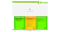 Desktop Screenshot of icronex.com