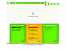 Tablet Screenshot of icronex.com